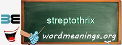 WordMeaning blackboard for streptothrix